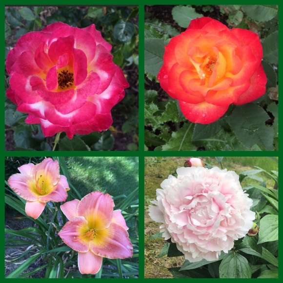 1,626 Five ⭐️ Ratings! Meet Courtney Grayce - Picture 6 of 7